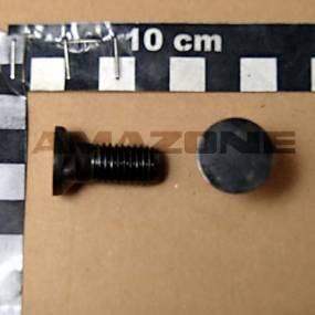 Senkschraube 12X30 10.9 Vz (Dd597) Amazone