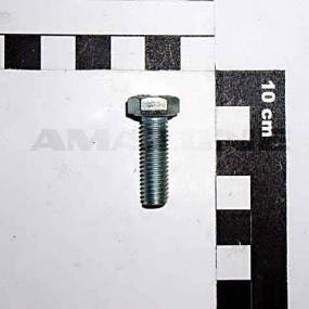 Sechskantschraube Iso 4017 8X25 8.8 Vz (Dc035) Amazone