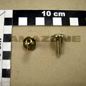 Flachrundschraube Din 603 6X20 4.6 Vz (Da053) Amazone