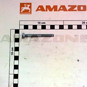 Sechskantschraube Iso 4017 6X65 8.8 Vz (Dc291) Amazone