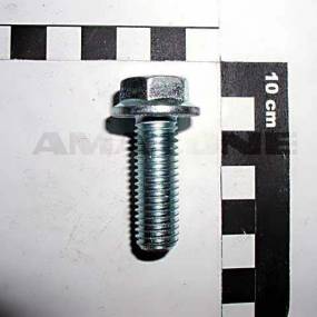 Sperrzahnschraube 12X35 100 Vz (Dd134) Amazone