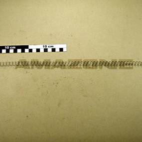 Druckfeder 0,8X11,8X 450 1.4310 (0966420) Amazone