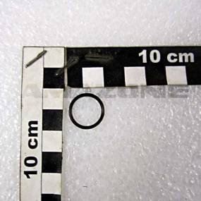 O-Ring 14,10X1,60 (Y201562) Amazone