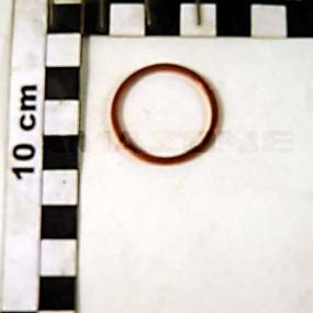 Dichtring Din 7603A 26X31X2 Cu (Ff027) Amazone