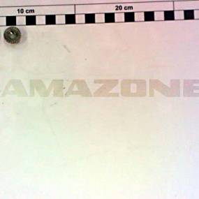 Sechskantmutter En 1661 M8 Va (De264) Amazone