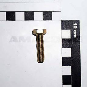 Sechskantschraube Iso 4017 8X30 8.8 Vz (Dc038) Amazone