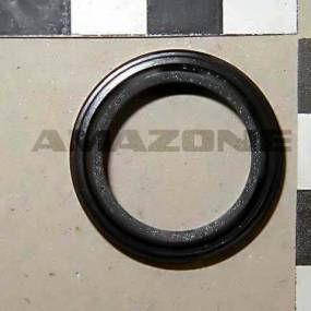 Abstreifer Asob-20X28X4/7 (Fb004) Amazone