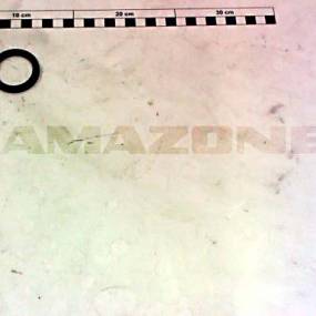 Dichtung 3,0X D=33/45 (Fg076) Amazone