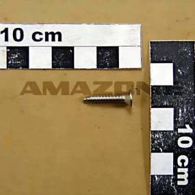 Blechschraube Iso 7050 4,2X22 C-H Va (Dd045) Amazone