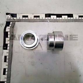 Buchse (212322) Amazone