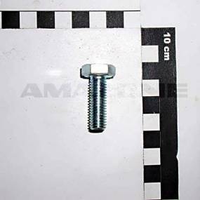 Sechskantschraube Iso 4017 10X30 8.8 Vz (Dc066) Amazone