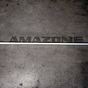 Verteilerrohr 1160 (78106822) Amazone