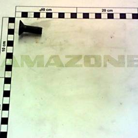 Senkschraube Din 11014 12X35 12.9 Vz (Dd794) Amazone