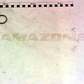 O-Ring 28,00X3,50 (Fc215) Amazone