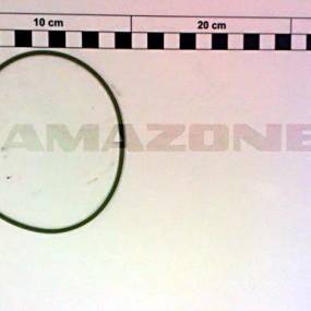 O-Ring 100 X 2,5 Alt: 3852300 (Fc022) Amazone