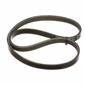 Riemen (87399981) Case