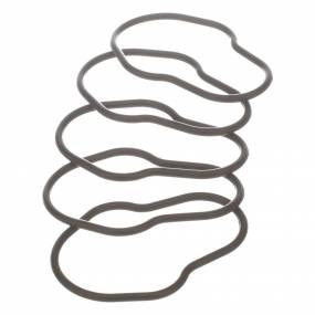 O-Ring (2830156) Case