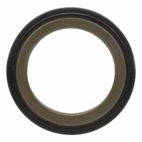 Öldichtung (370254R91) Case