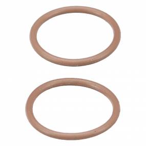 O-Ring (10319983) Case