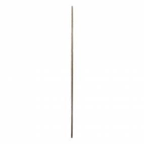 Kupplungstreibscheib (5163844) Case