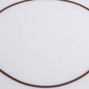 Dichtung (5165512) Case