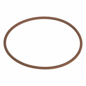 O-Ring (17291281) Case