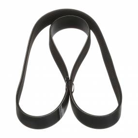 Riemen (84412878) Case