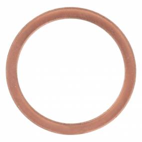 Dichtung, Flach (356799R1) Case