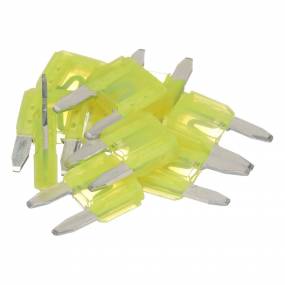 Sicherung (10401190) Case