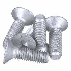 Schraube (14441421) Case