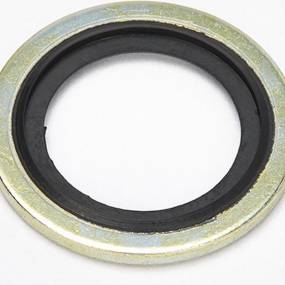 Dichtscheibe (5165897) Case