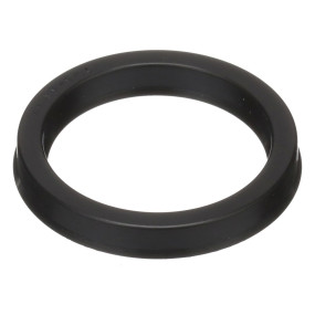 Dichtung (119203C1) Case