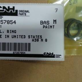 Dichtring (87357854) Case