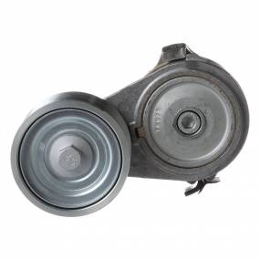 Riemenspanner (84187972) Case