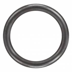 O-Ring (4890926) Case
