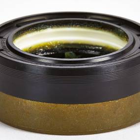 Dichtung (84166643) Case