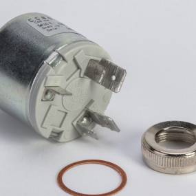 Zündschalter (5179952) Case