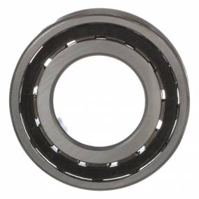 Rollenlager, Zylindr (5147070) Case