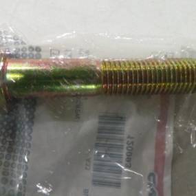 Schraube (120093) Case