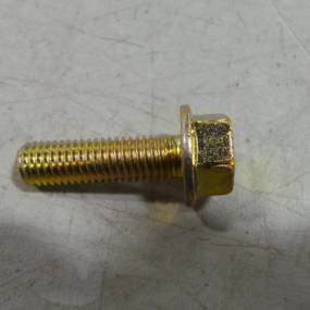 Schraube mit Flansch (87698838) Case