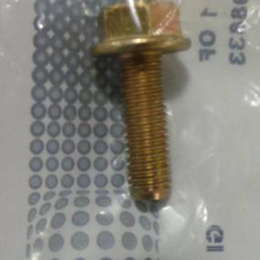 Schraube mit Flansch (87698833) Case