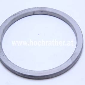 Dichtung (1-33-141-021) Case