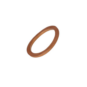 Dichtscheibe (10261160) Case