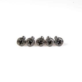 Schraube (13276217) Case