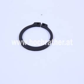 Sprengring (133100270122) Case