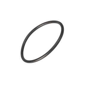 O-Ring (133700730061) Case