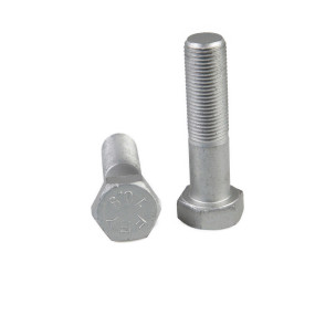 Schraube (15981234) Case