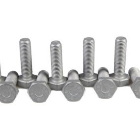 Schraube (16204524) Case