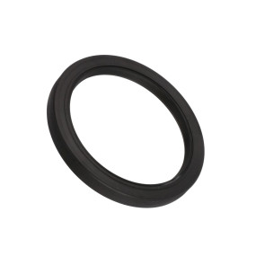 Dichtung, Flach (190003070116) Case