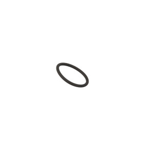 O-Ring (190003120574) Case